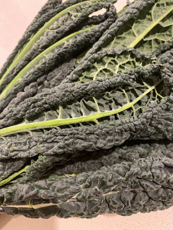 Fresh, whole-food ingredients