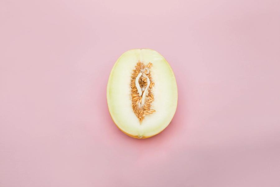 Sliced melon, evoking a diverse, healthy microbial ecosystem