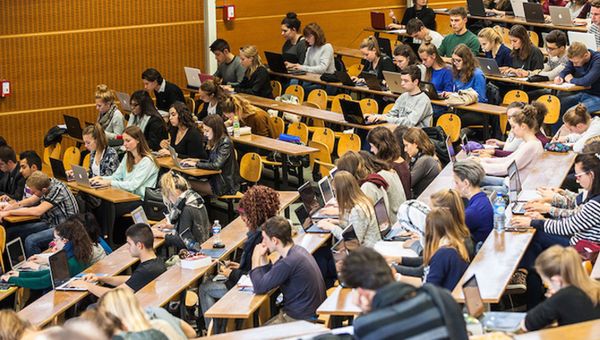 Les nombreux secteurs d'avenir accessibles après une école de commerce ! (salaires et entreprises)