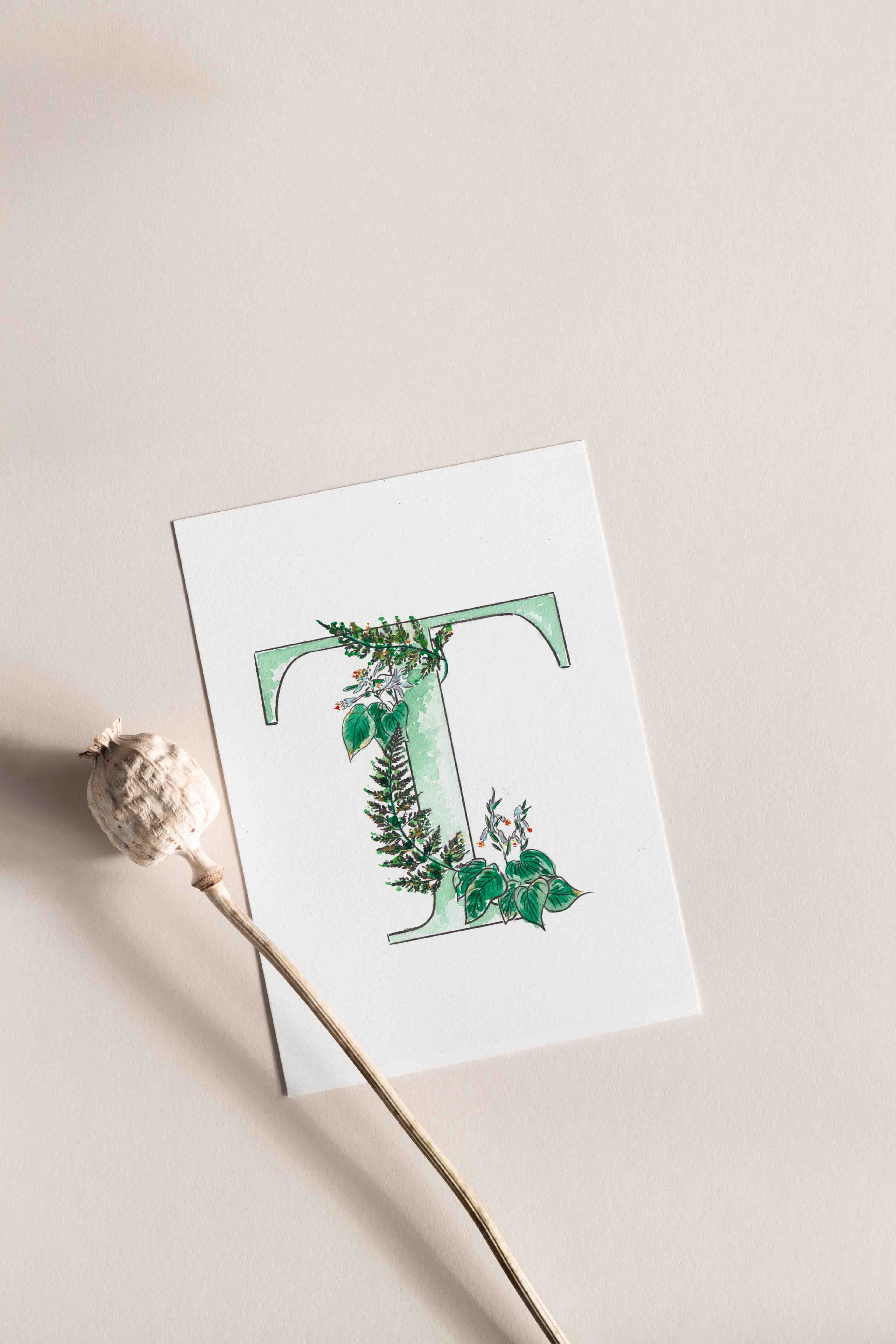 watercolour Illustration lettering