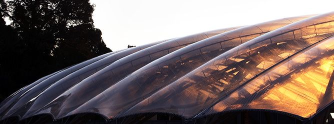 Waitomo Glow Worm Caves Visitors Centre | Waitomo