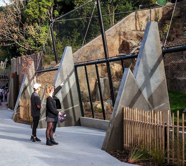 Zoo Snow Leopards Enclosure | Wellington