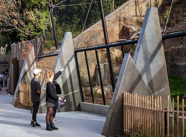 Zoo Snow Leopards Enclosure | Wellington
