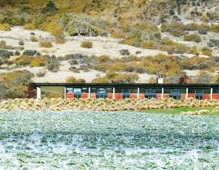 Newbold House | Gibbston Valley