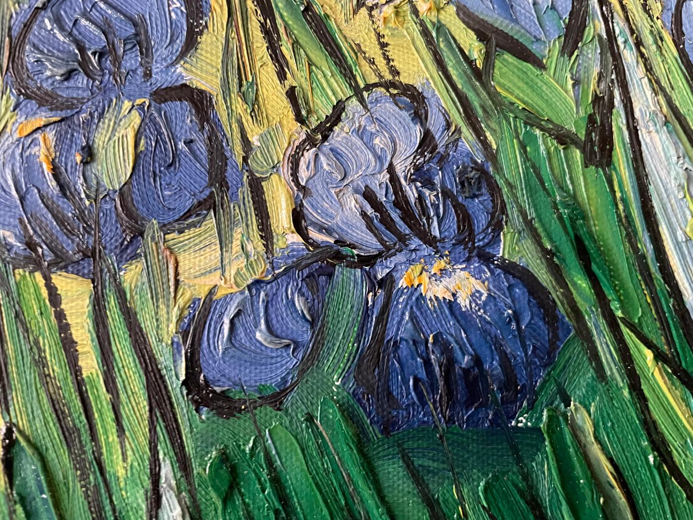 Irises