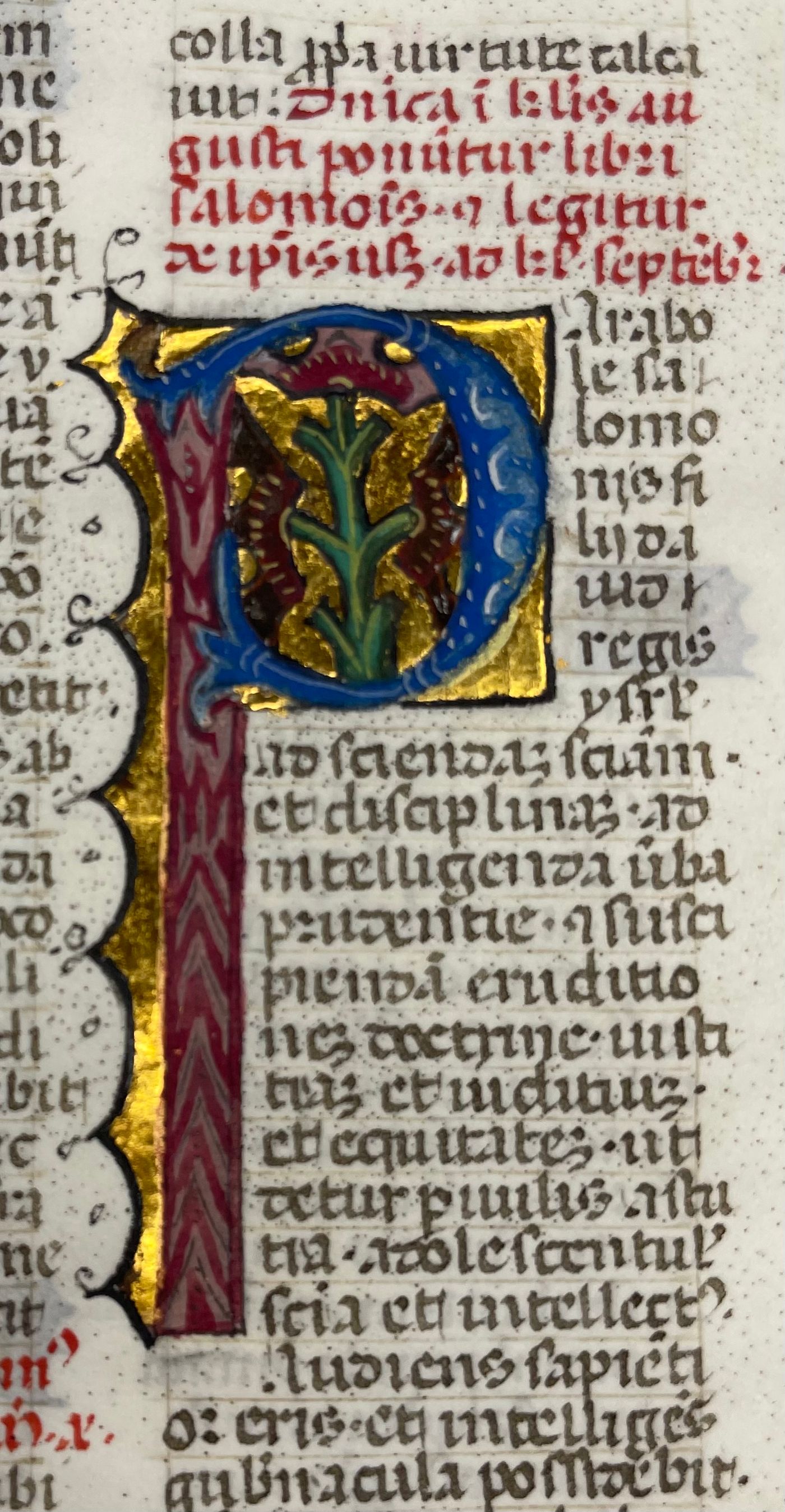 Illuminated Manuscript Leaf