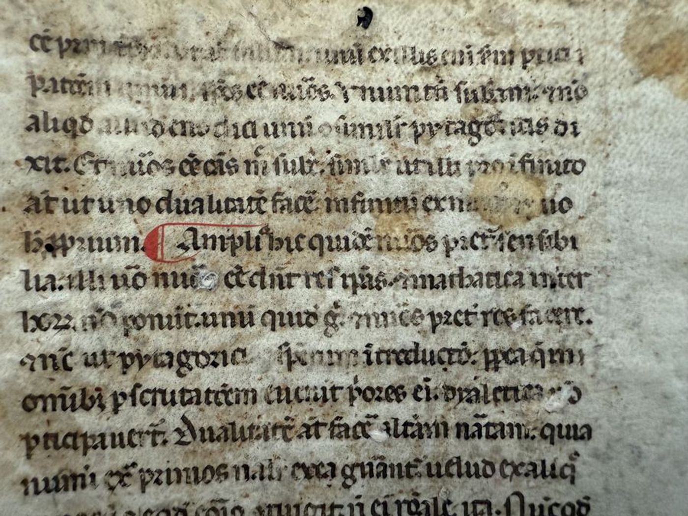 Aristotle, <em>Metaphysics</em>