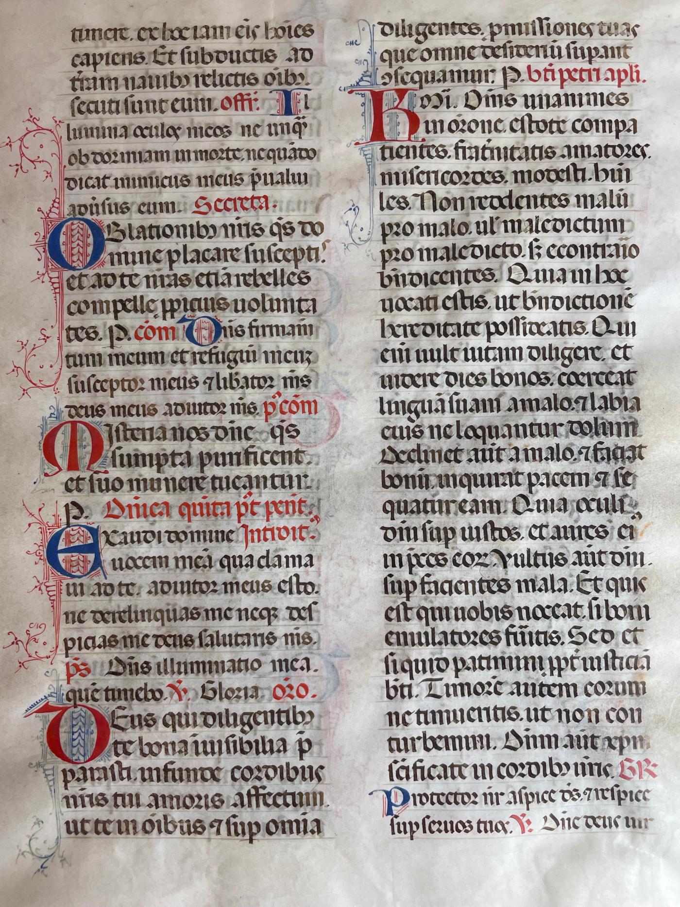 An Illuminated Manuscript Leaf