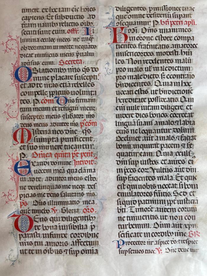 An Illuminated Manuscript Leaf