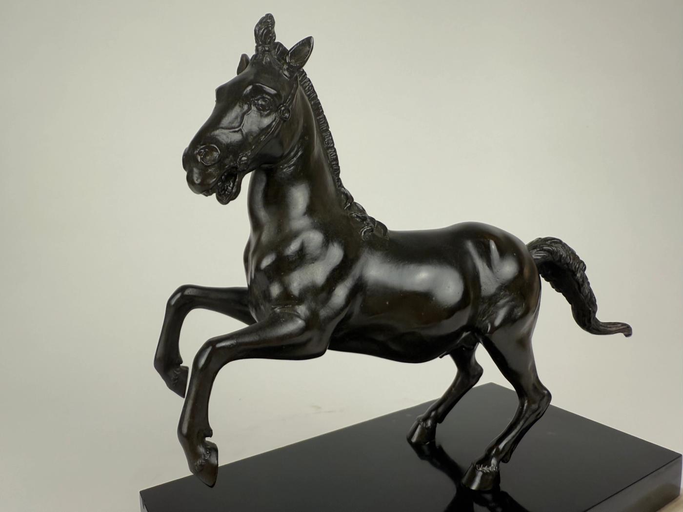 A Bronze Rearing Horse