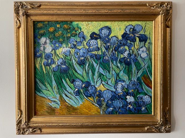 Irises