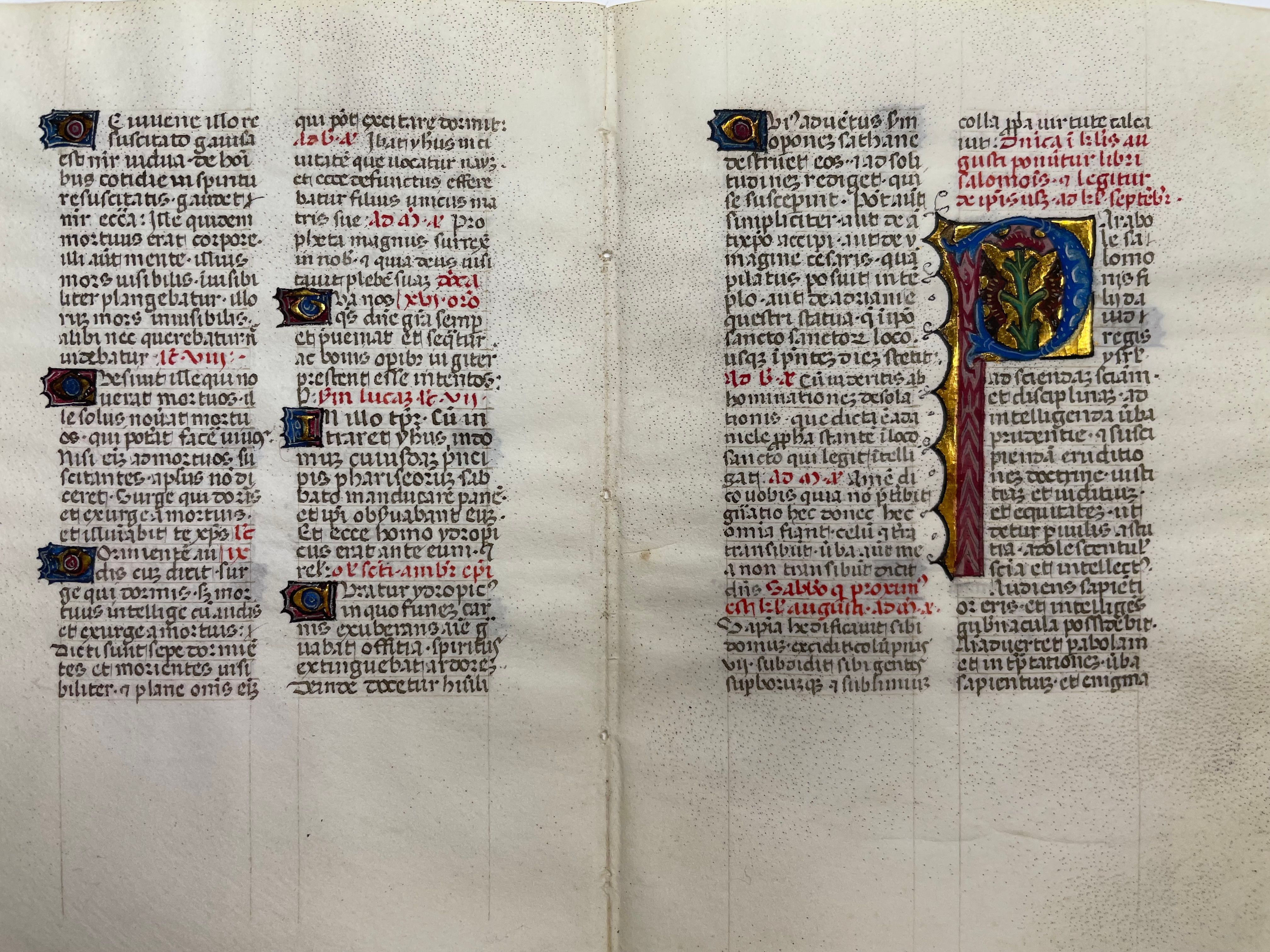 Illuminated Manuscript Leaf, view 4