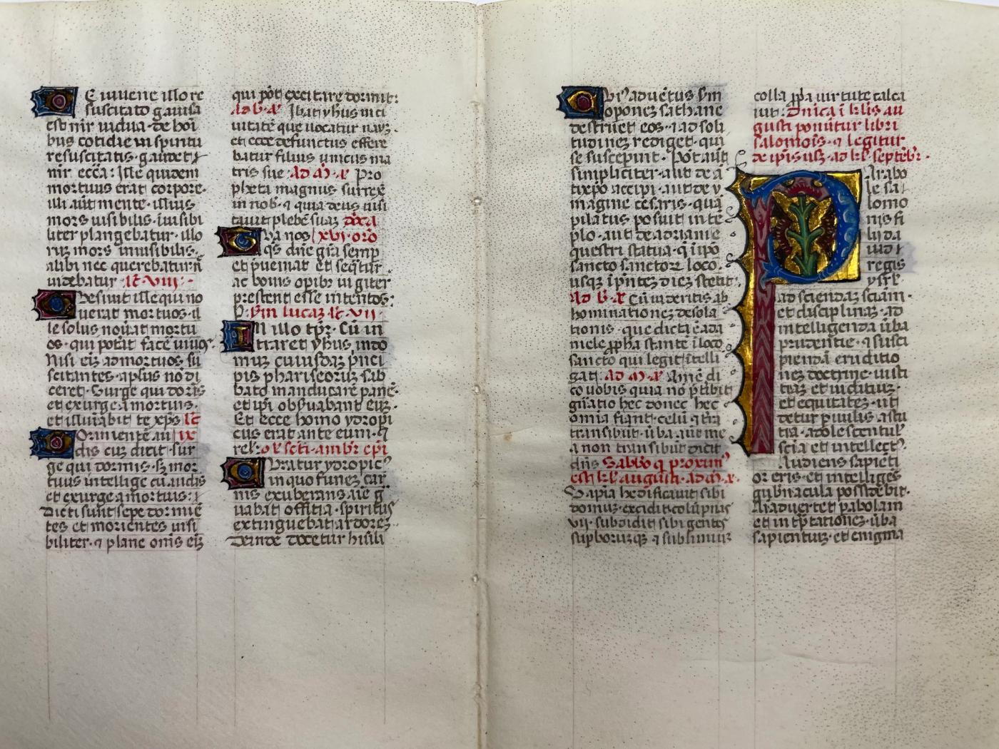 Illuminated Manuscript Leaf