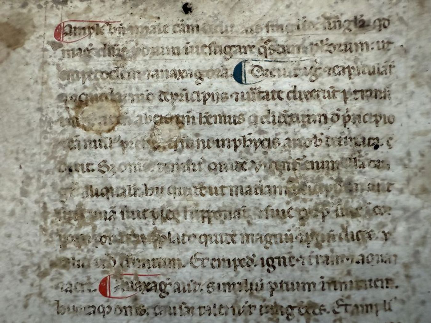 Aristotle, <em>Metaphysics</em>