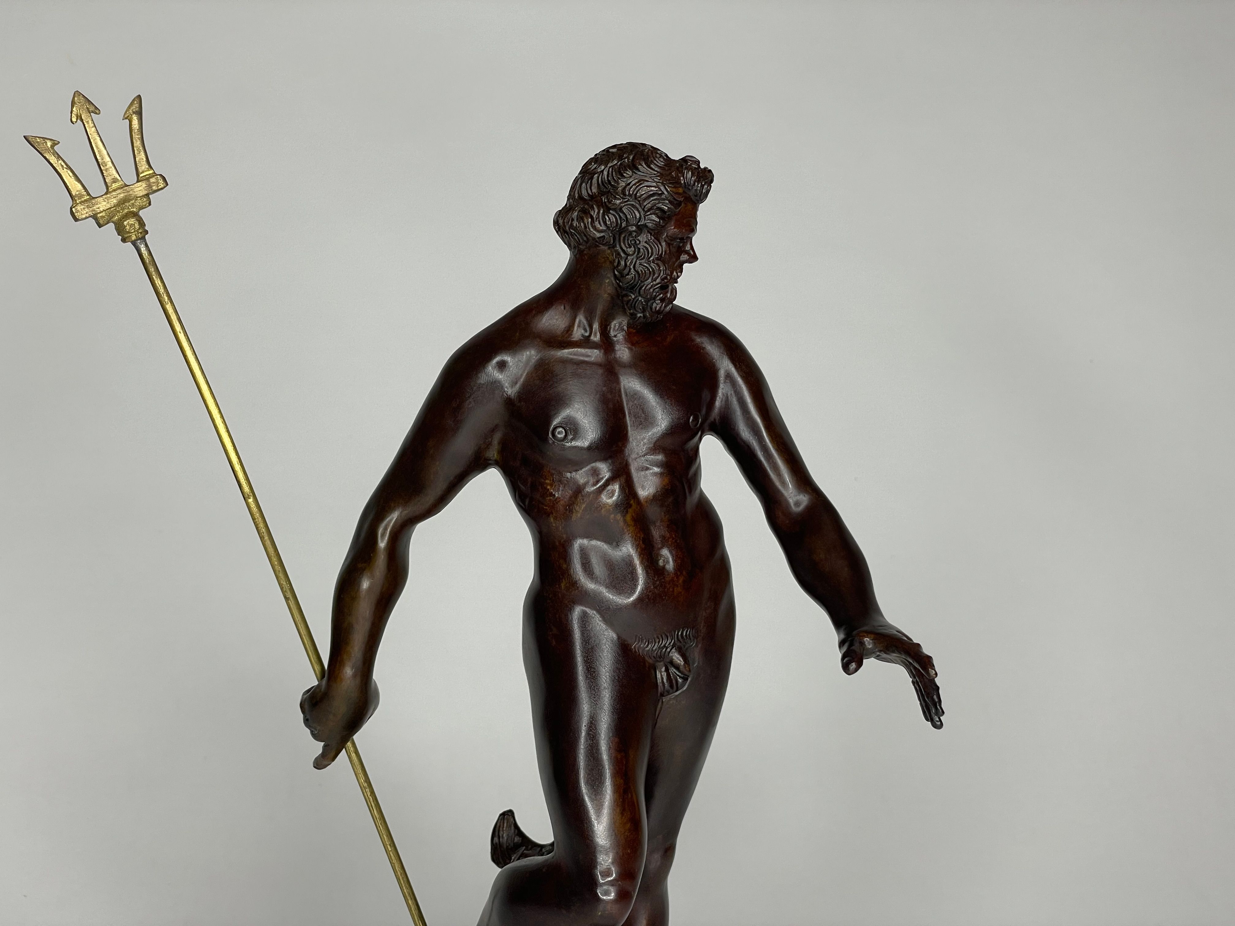 Neptune, view 4