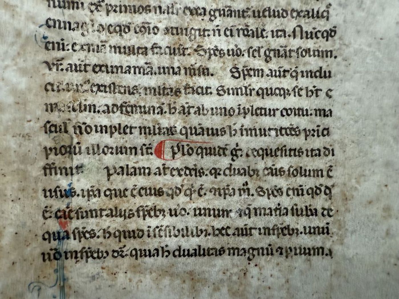 Aristotle, <em>Metaphysics</em>