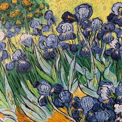 Irises, view 2