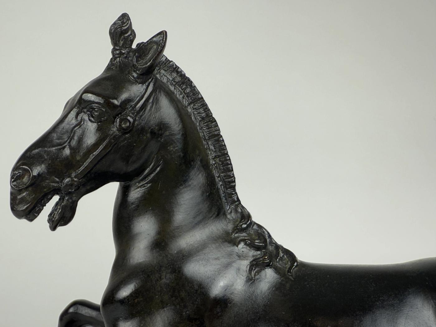 A Bronze Rearing Horse