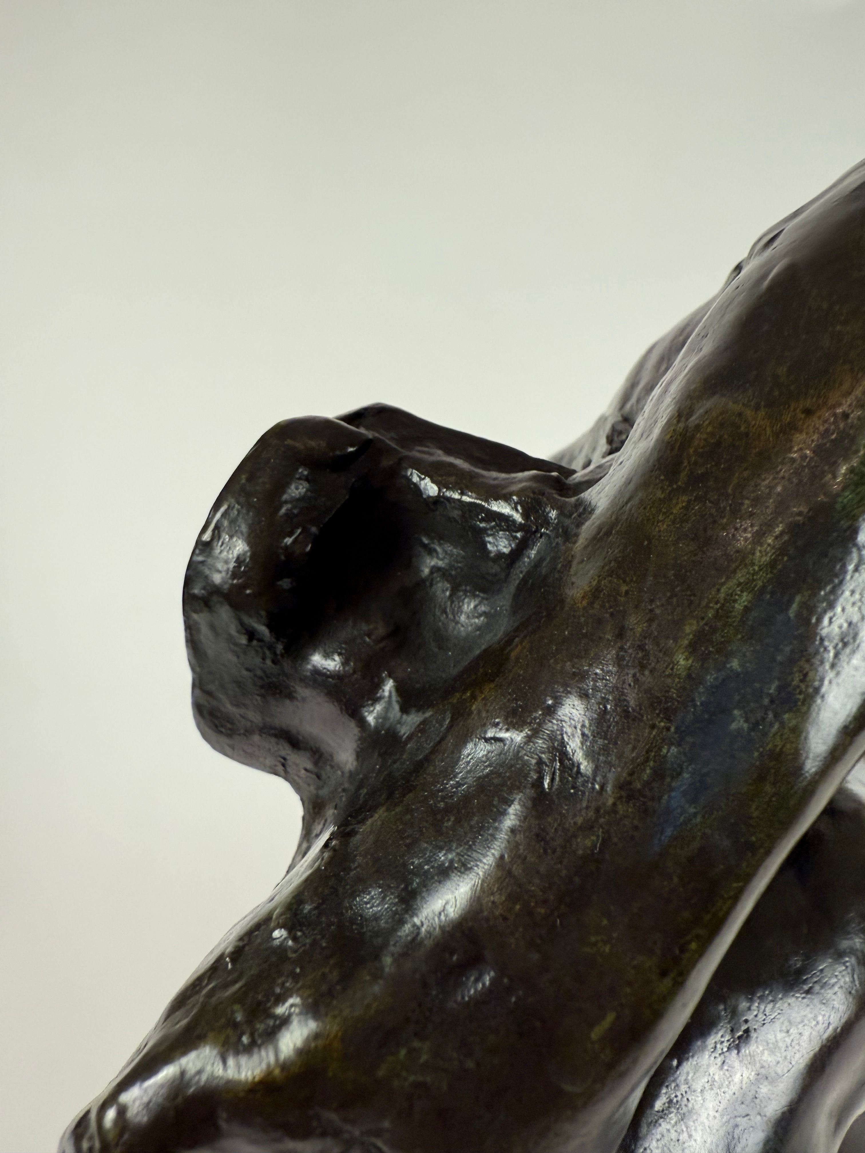Torso d’Adèle, view 3