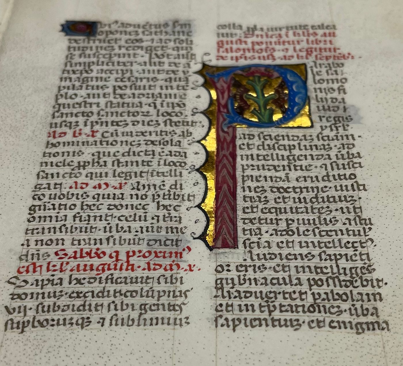 Illuminated Manuscript Leaf