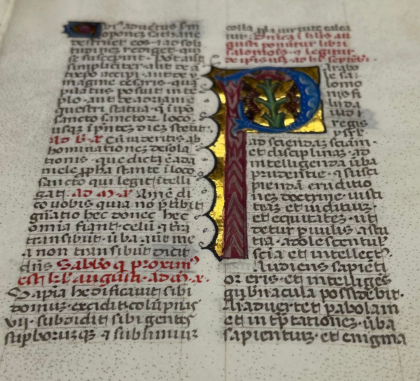 Illuminated Manuscript Leaf