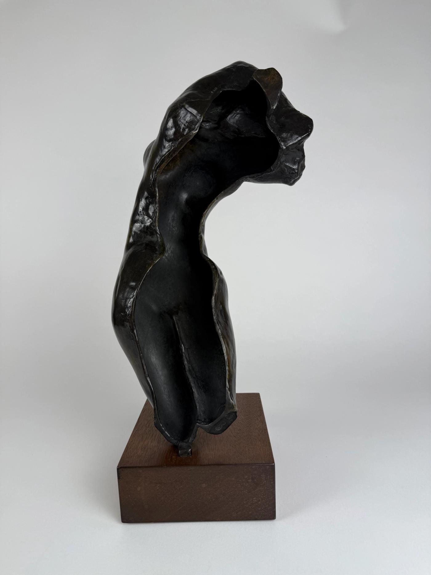 Torso d’Adèle
