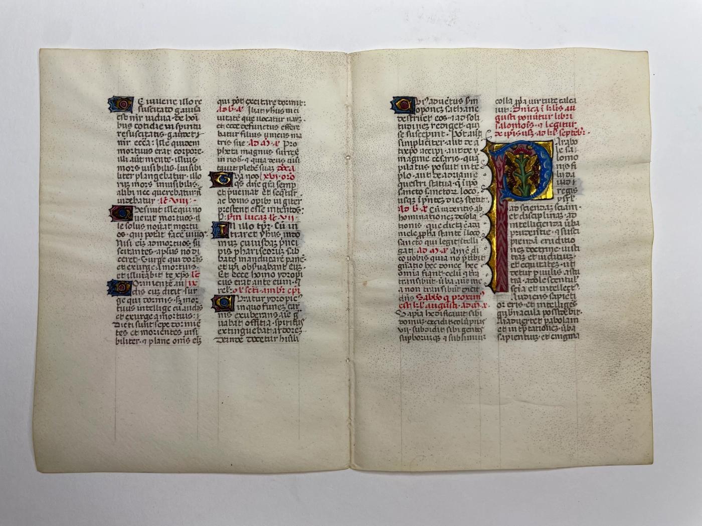 Illuminated Manuscript Leaf