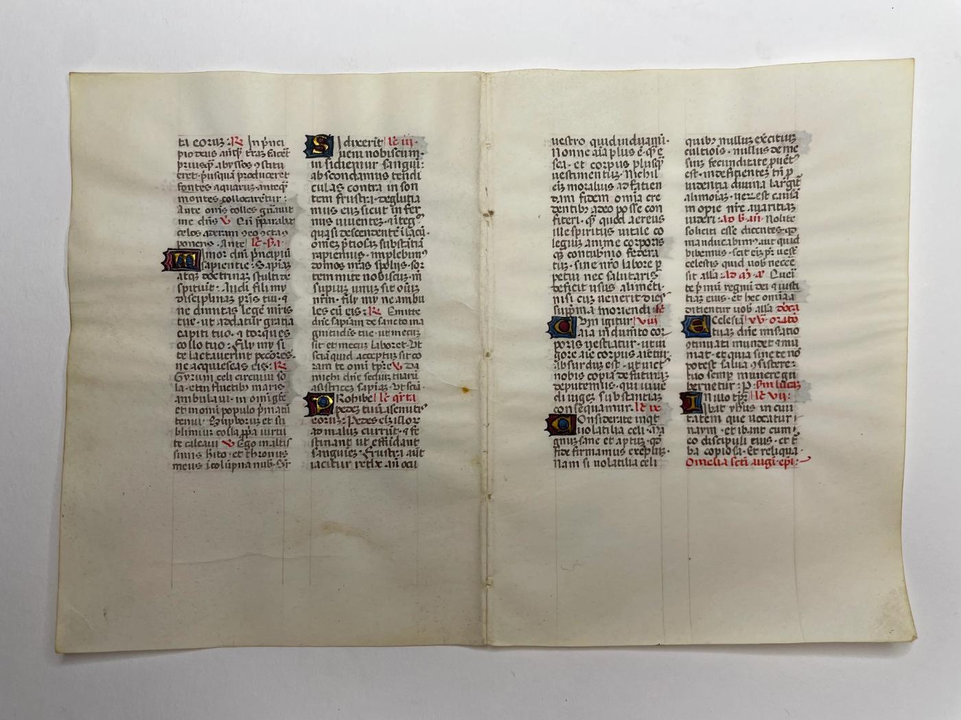 Illuminated Manuscript Leaf