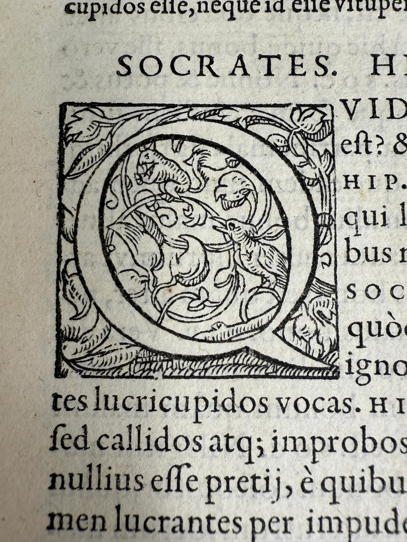 Ficino's Plato