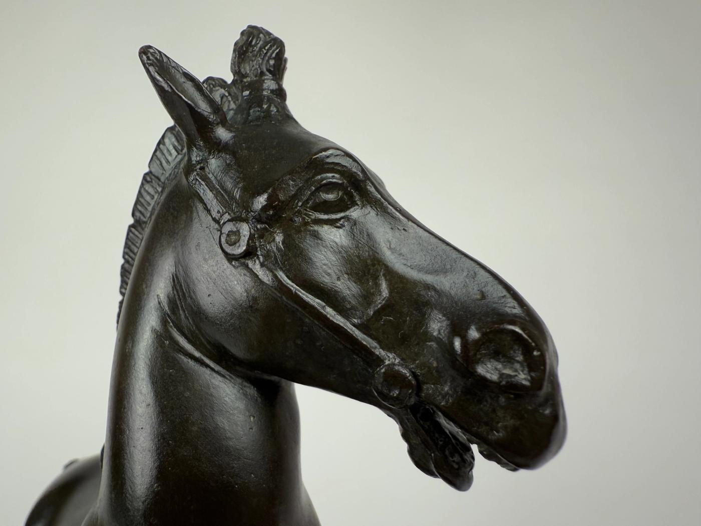 A Bronze Rearing Horse