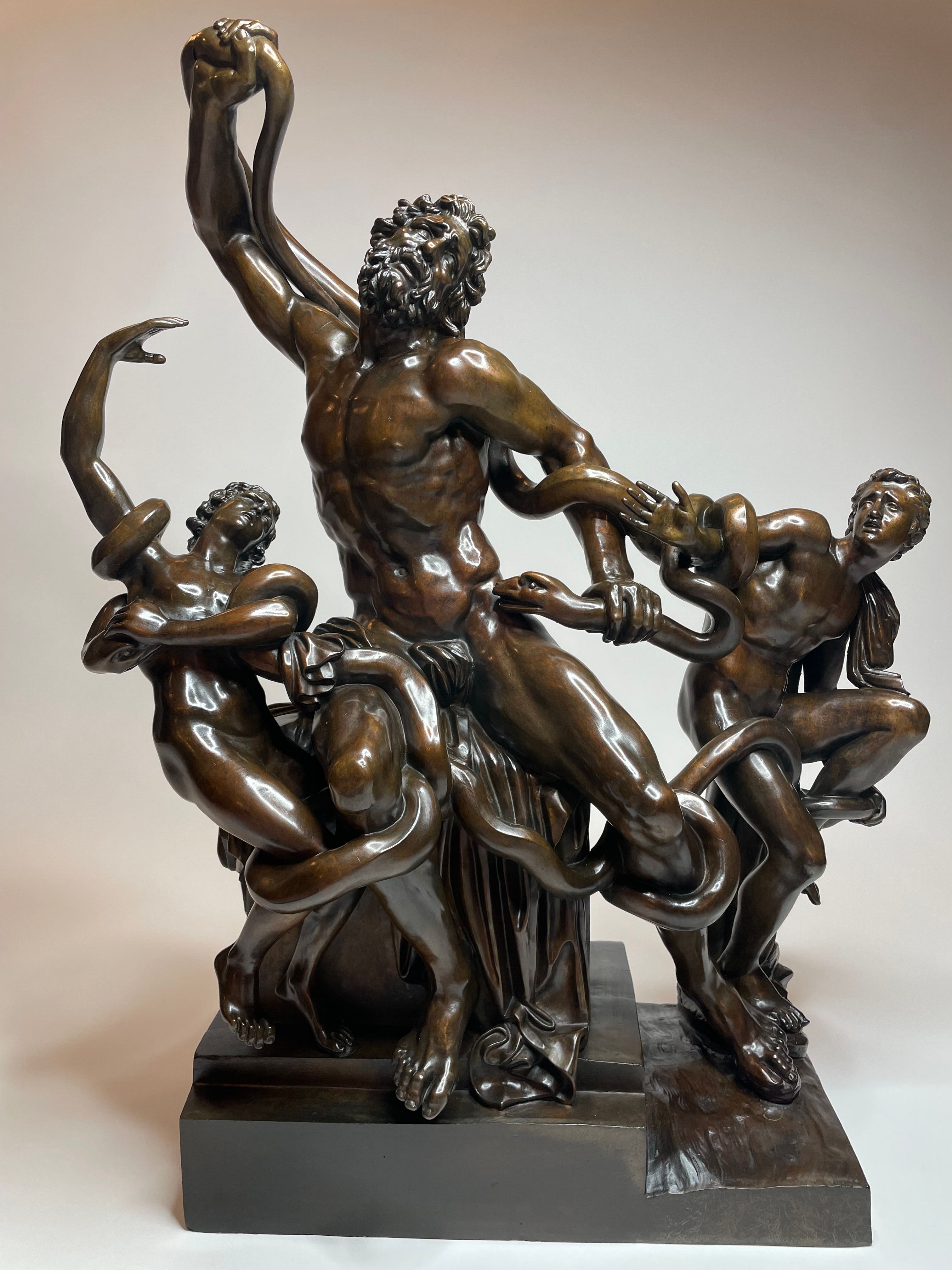 Laocoön and his Sons, view 3