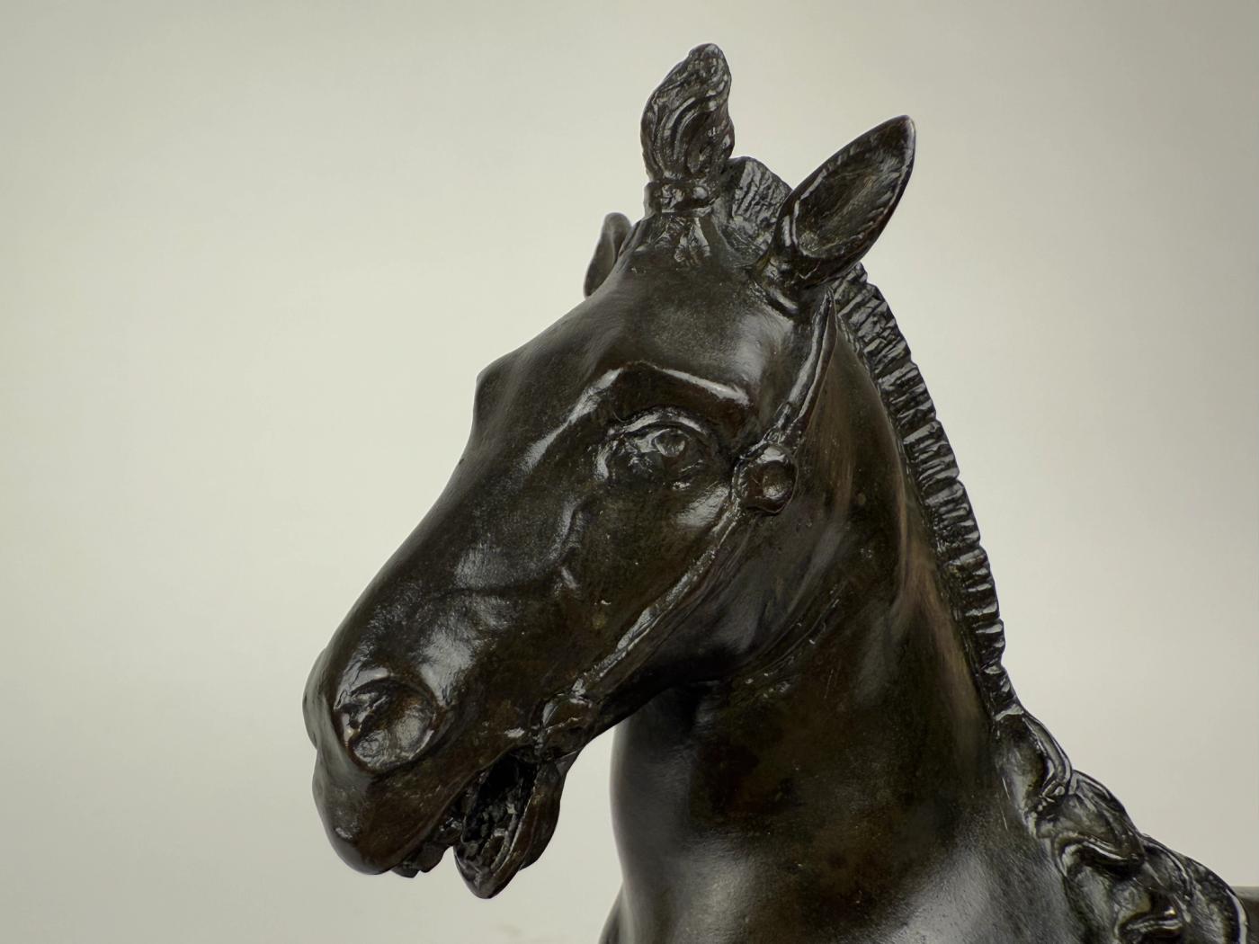 A Bronze Rearing Horse