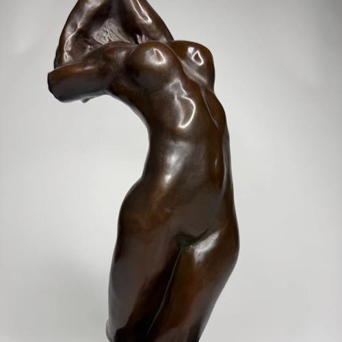 Torso d'Adèle, view 3
