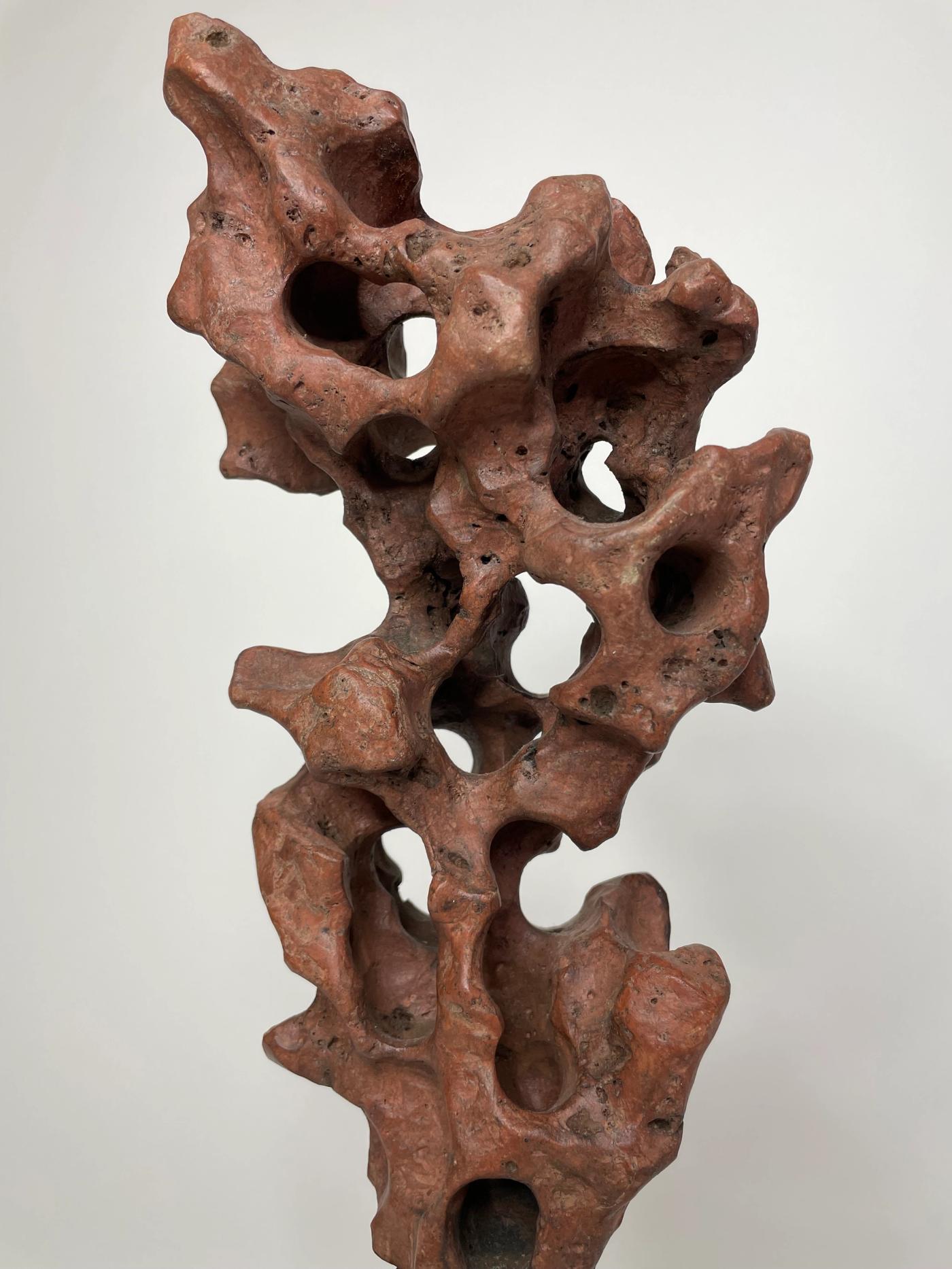 A Chinese Scholar’s Stone