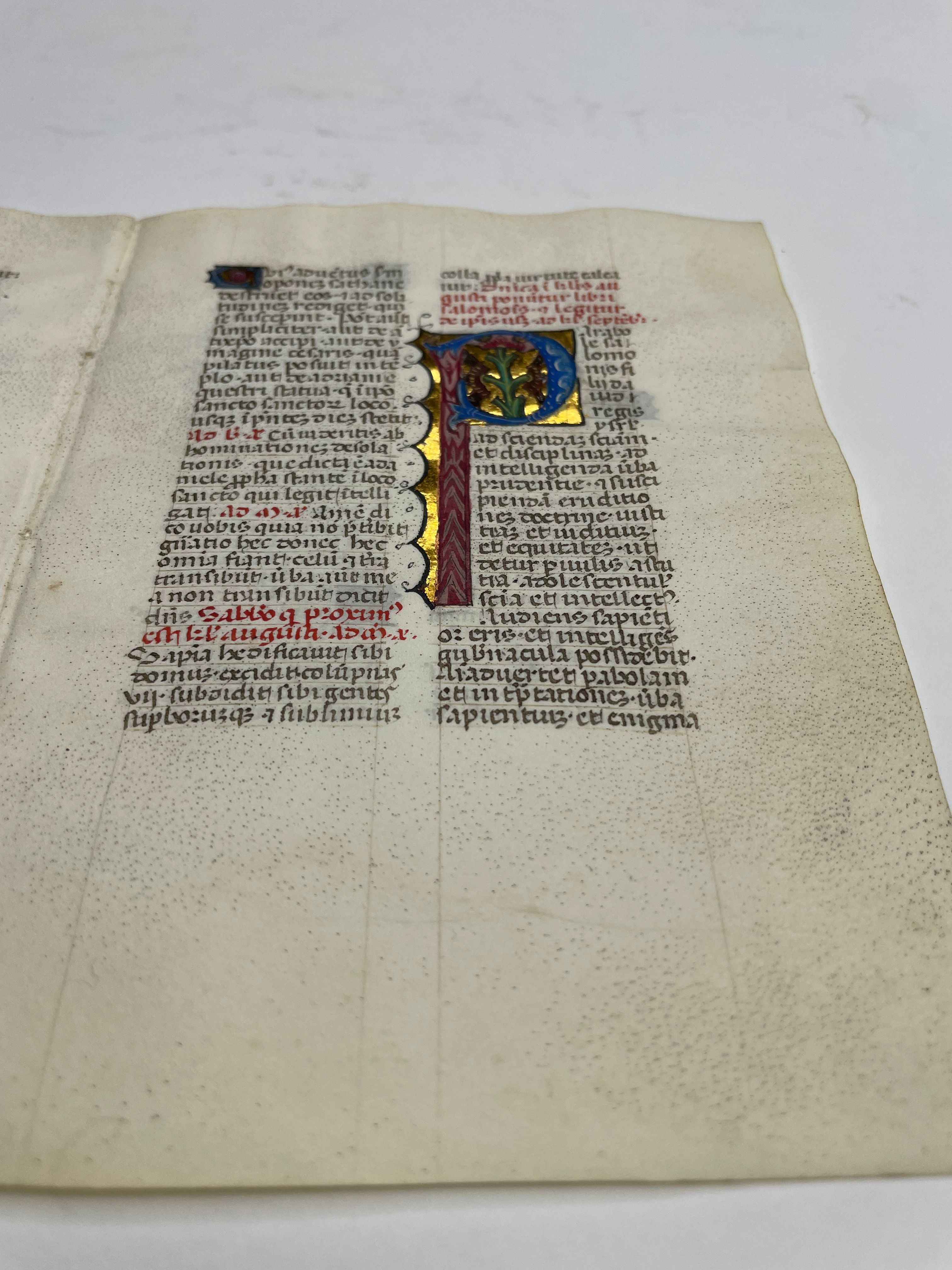 Illuminated Manuscript Leaf, view 2