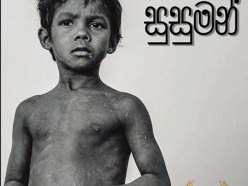 Disapamok Web Design and Development - Image 2