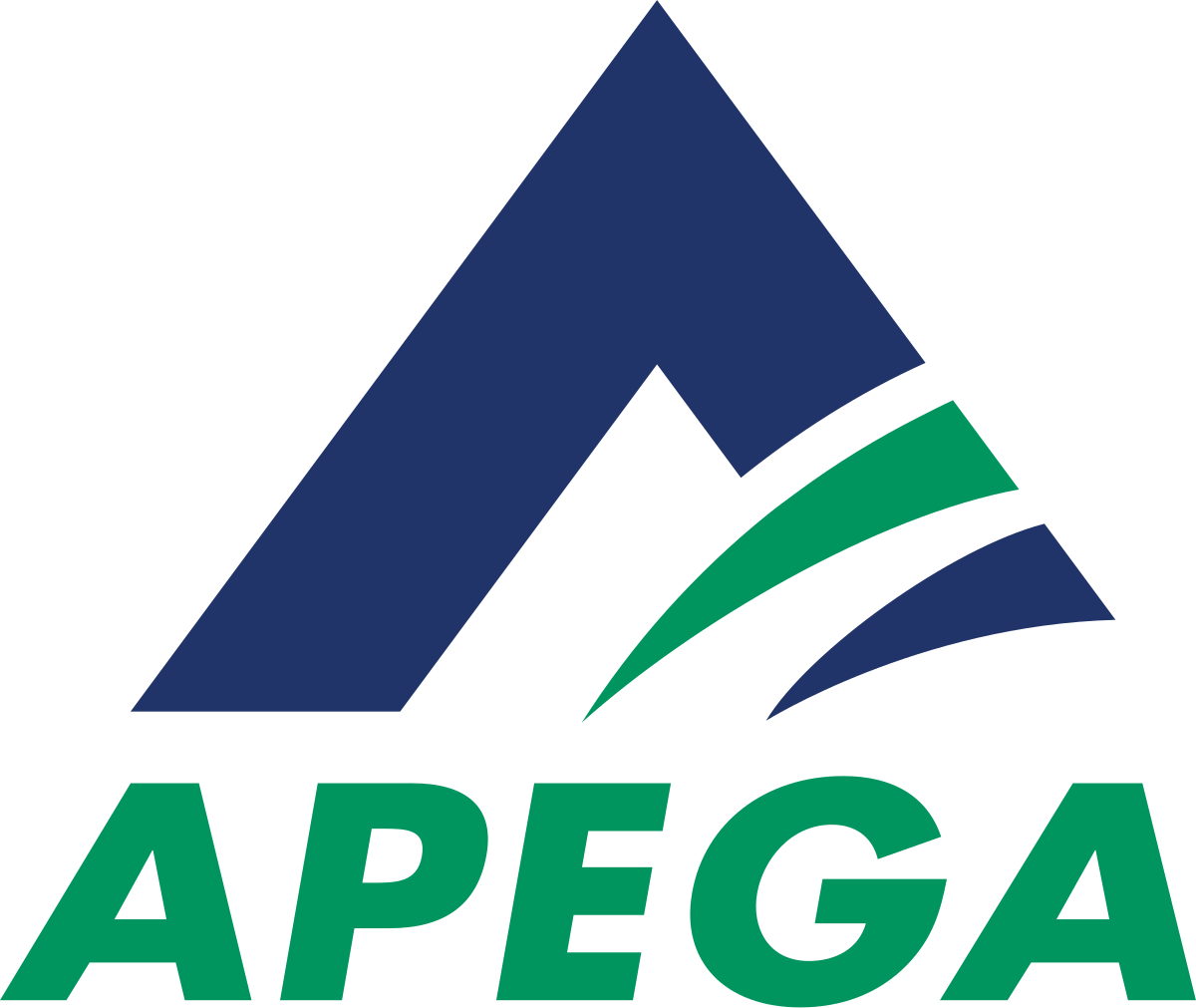 Association of Professional Engineers and Geoscientists of Alberta logo.