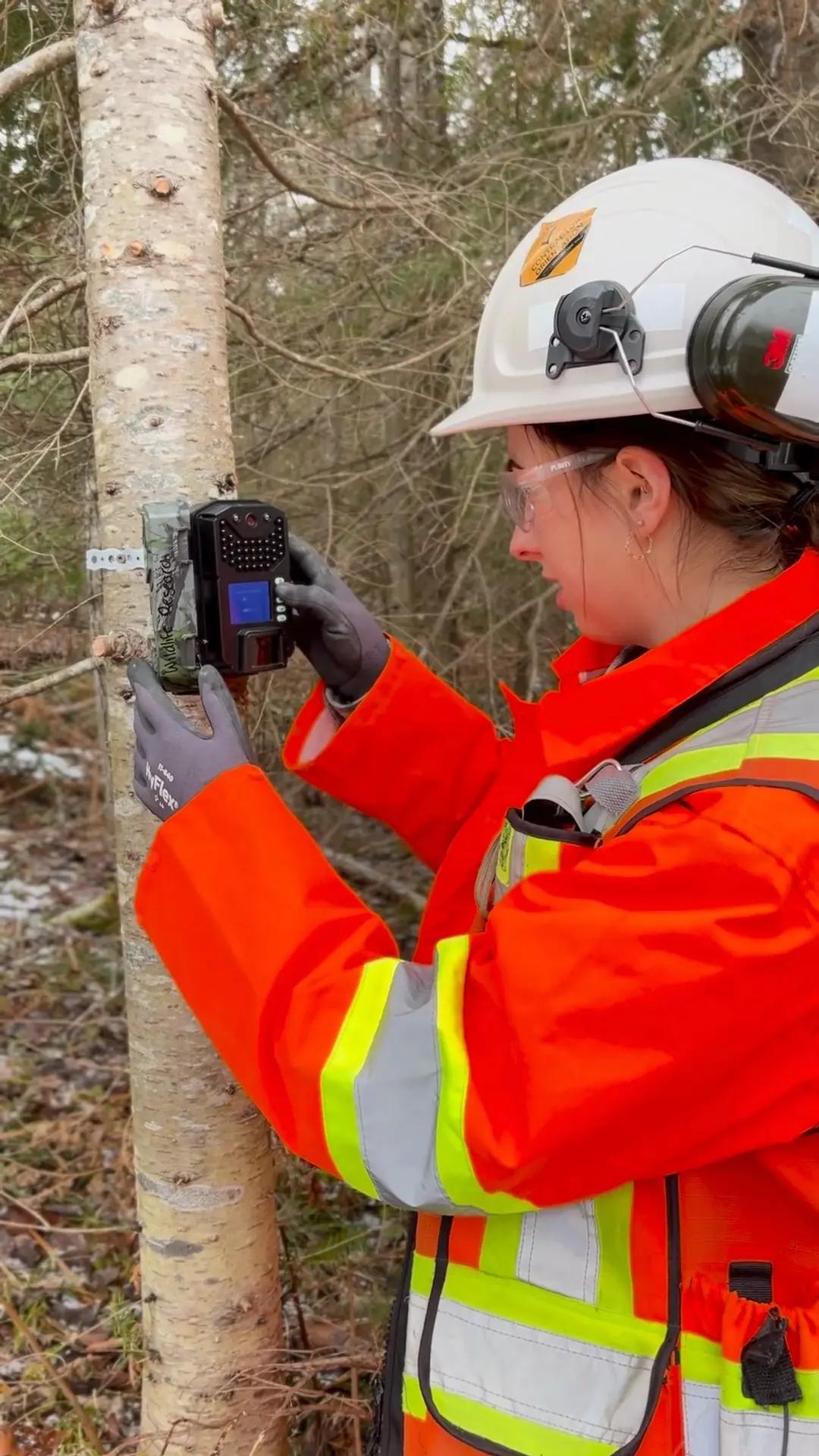 TULLOCH environmental field technician completing wildlife monitoring in the field.