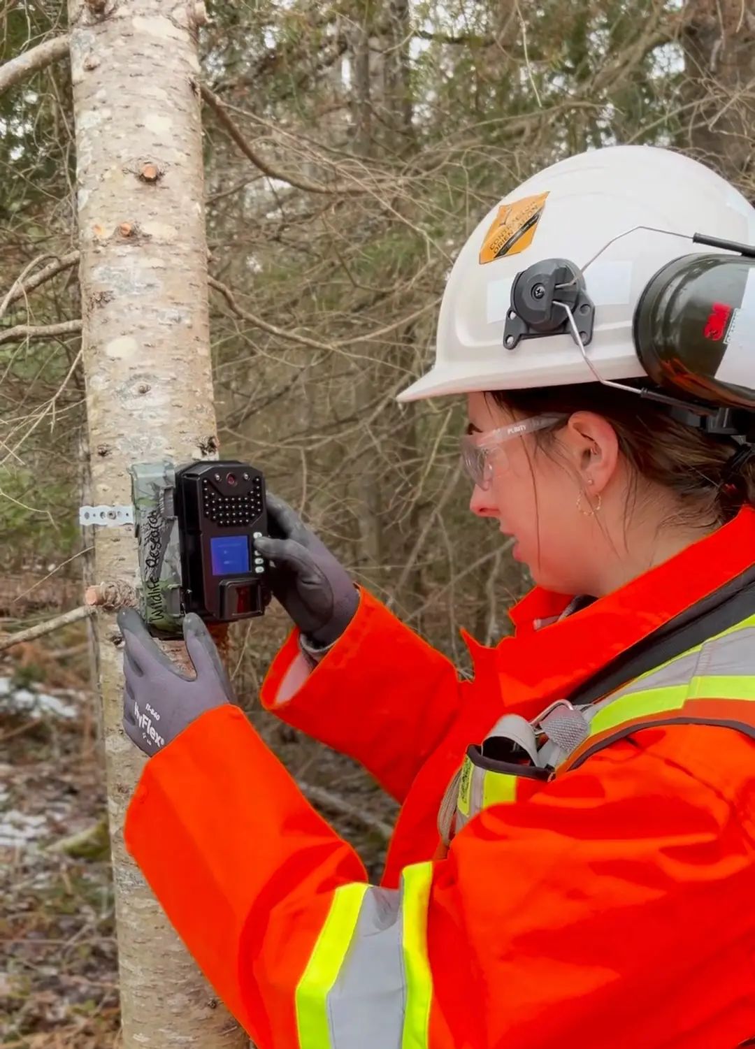 TULLOCH environmental field technician completing wildlife monitoring in the field.