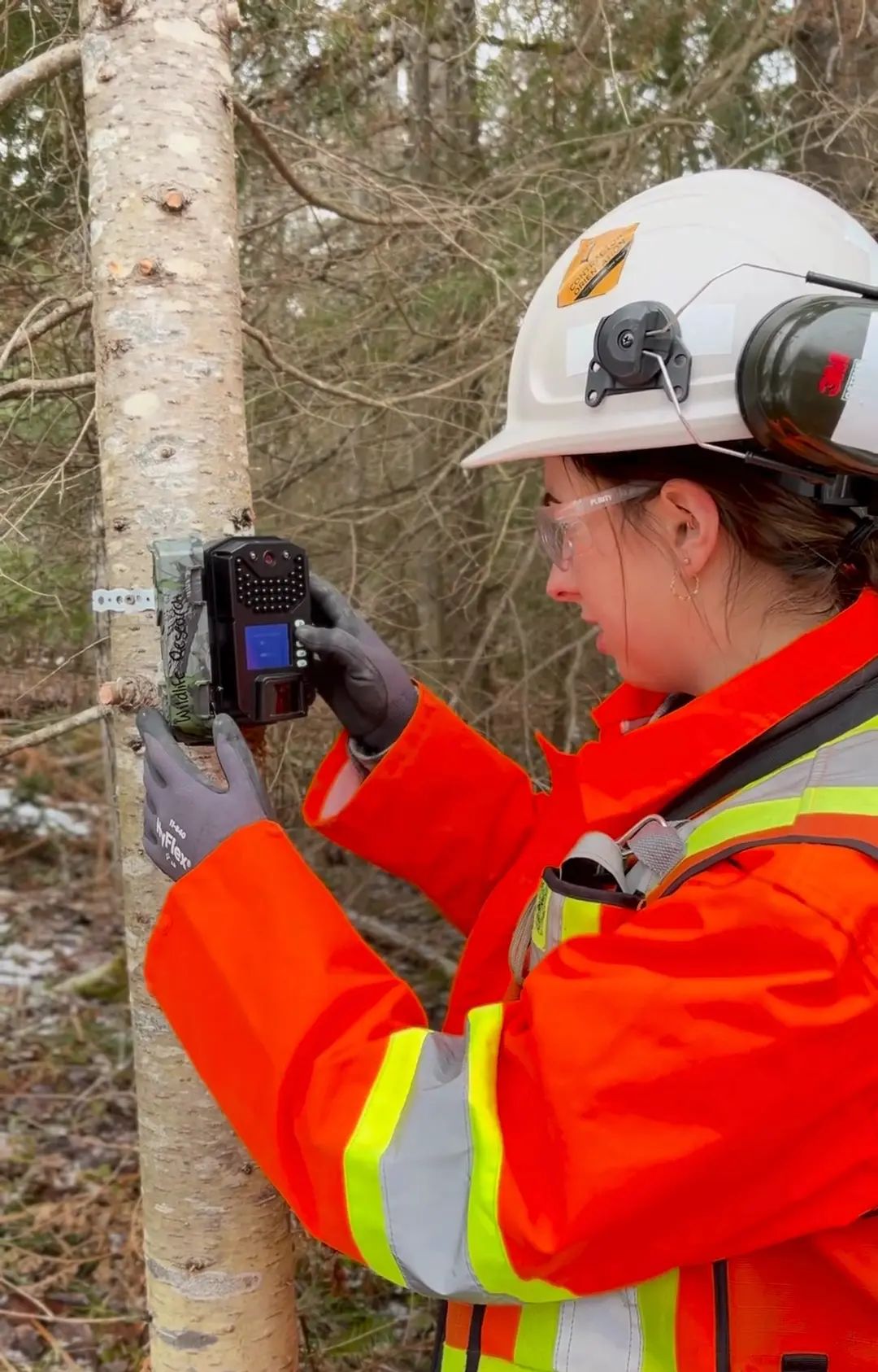 TULLOCH environmental field technician completing wildlife monitoring in the field.