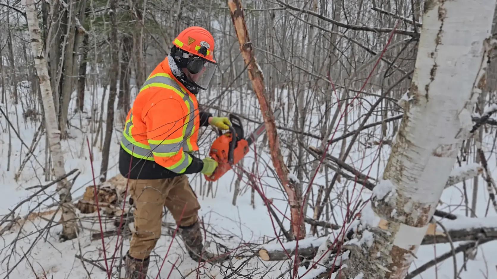 TULLOCH field technician conducting survey work clearing line in a wooded rarea.