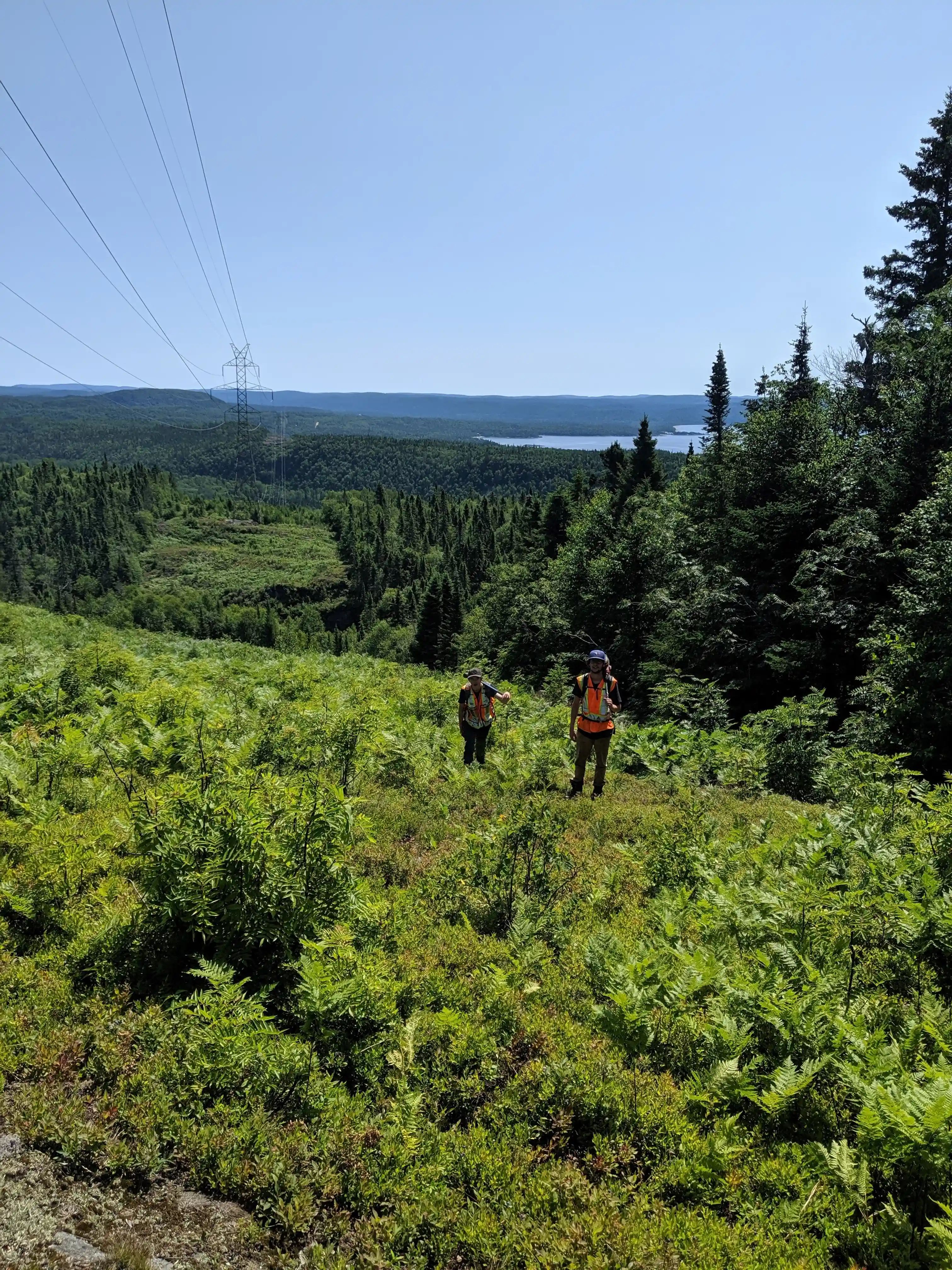Remote transmission corridor on the East-West Tie project.