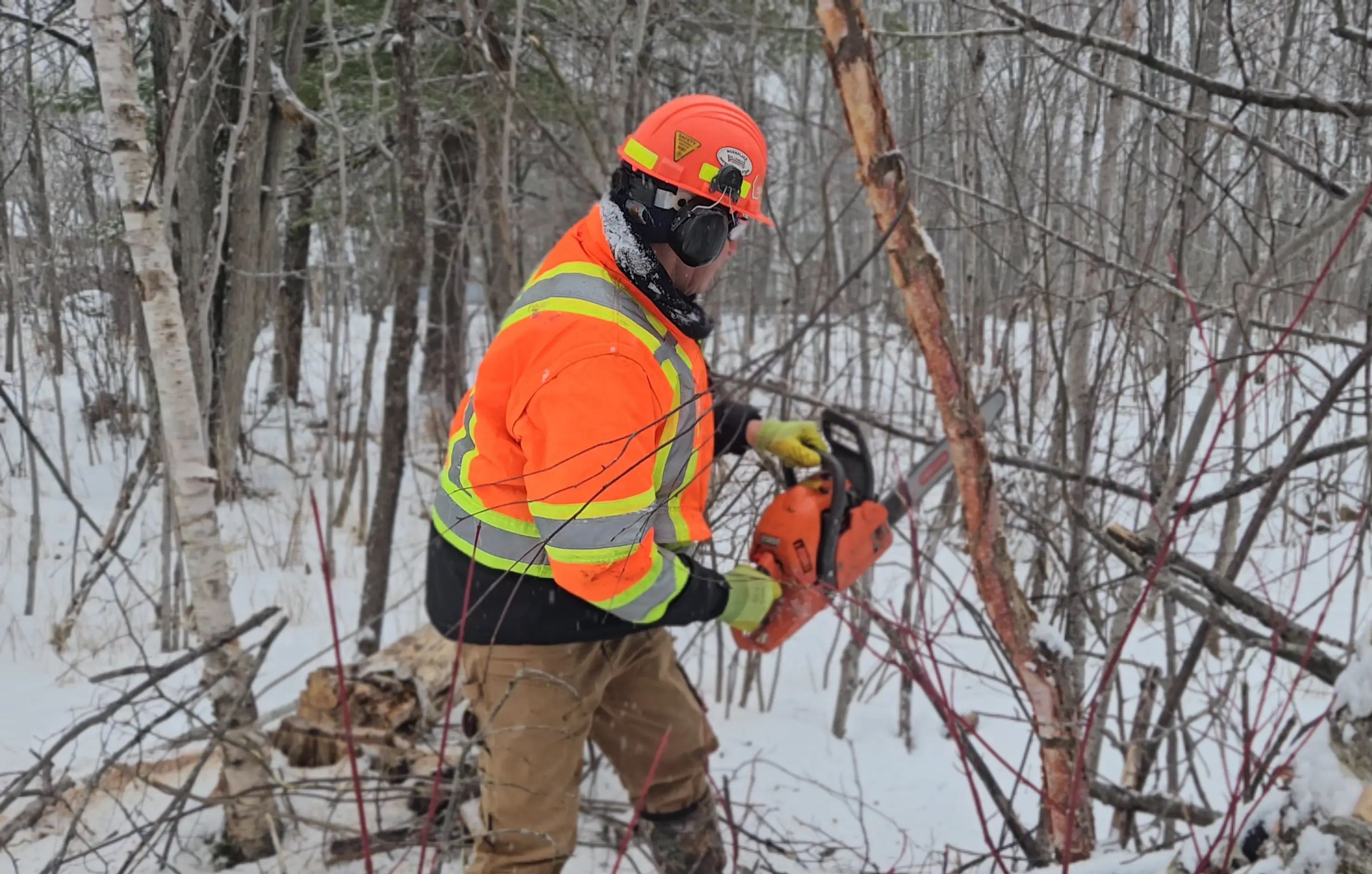 TULLOCH field technician clearing vegetation during field access work.