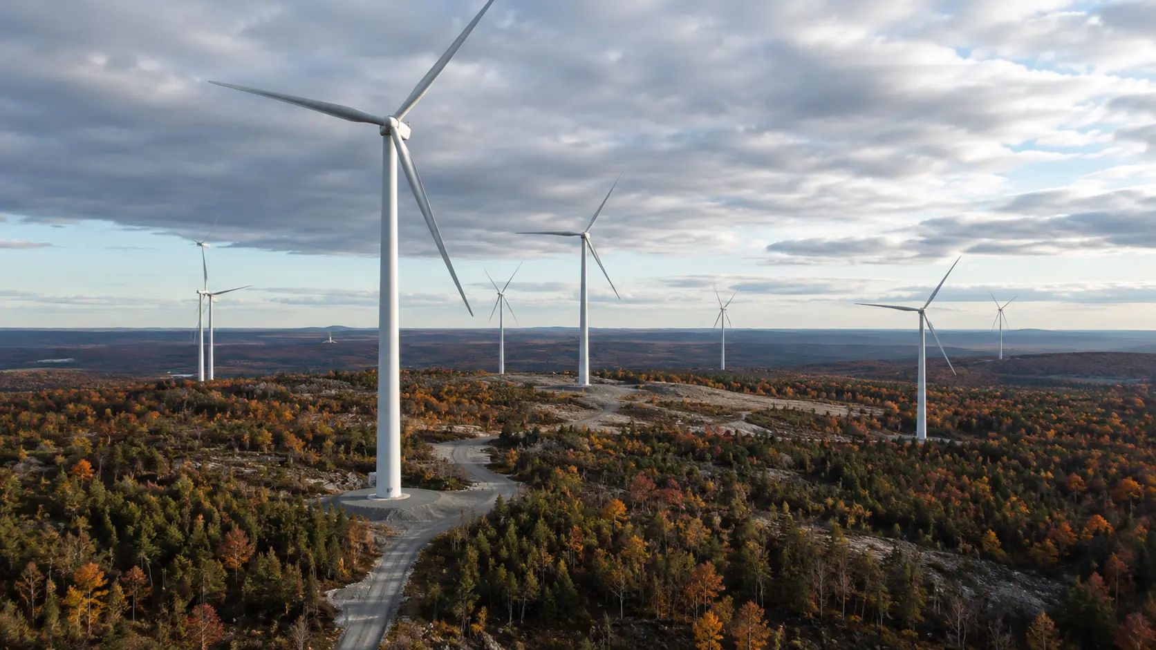 Wind turbines across a forested renewable energy site.