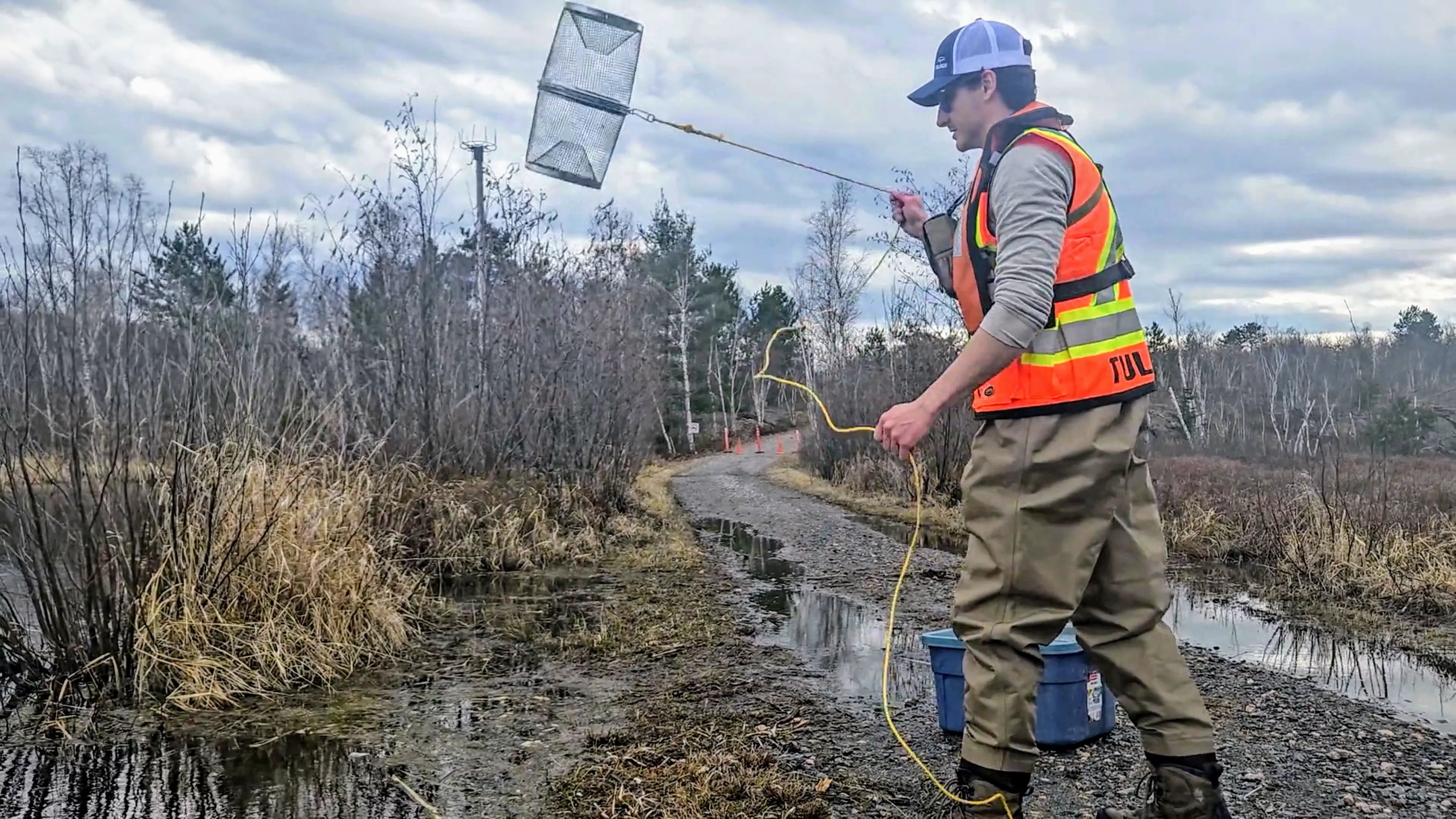 TULLOCH environmental field technician checking monitoring equipment in a wetland area.