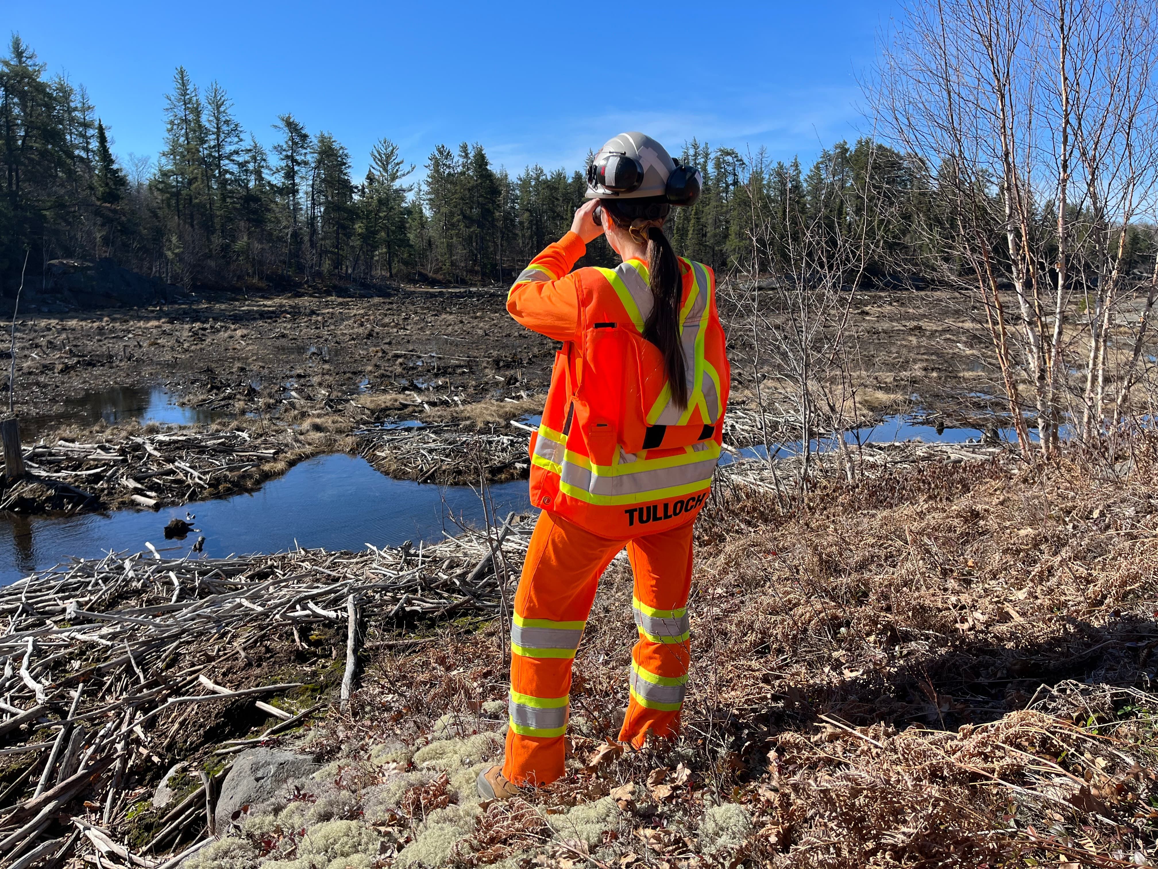 TULLOCH field technician assessing a shoreline rehabilitation area near a waterbody.