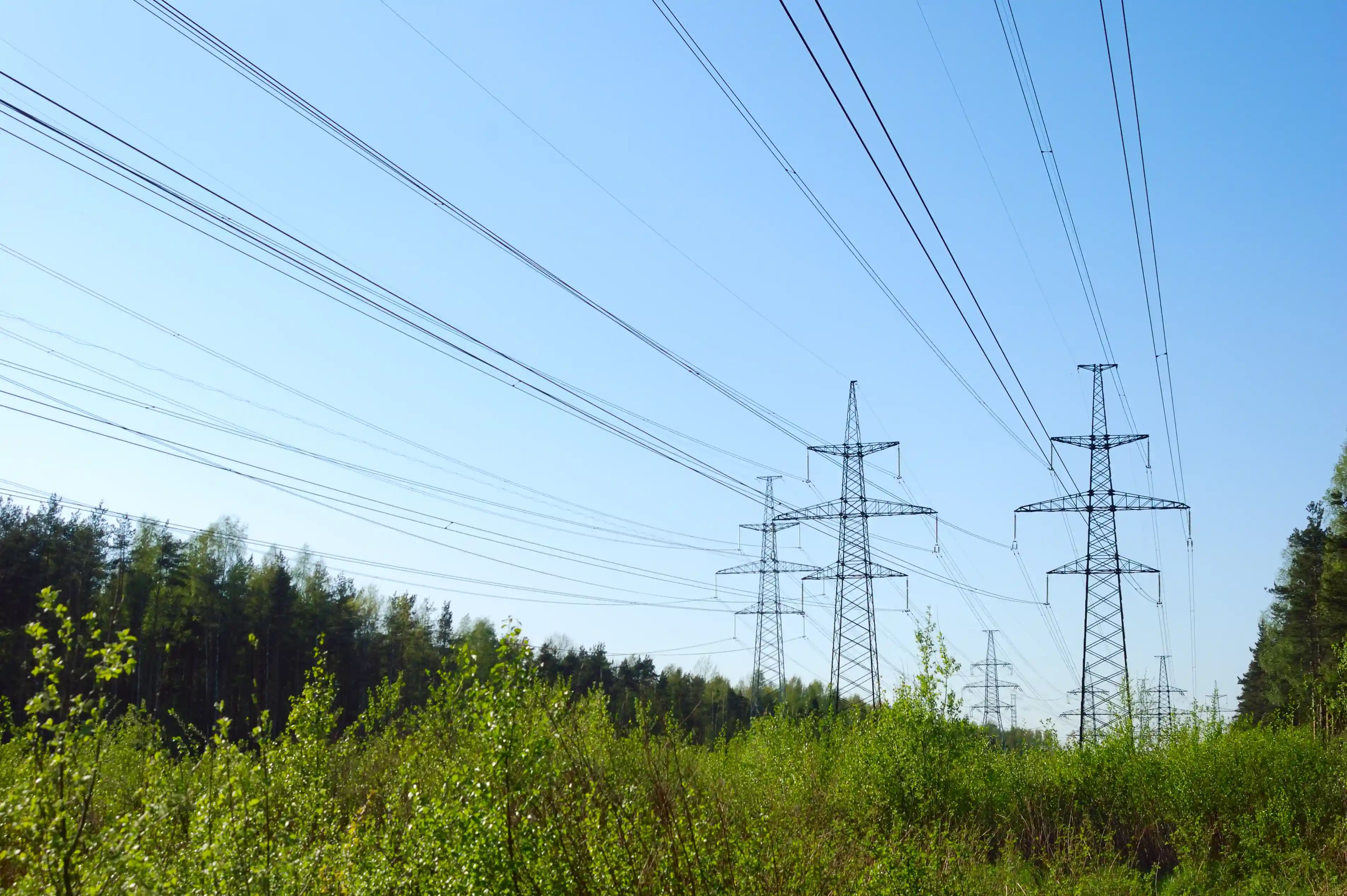Transmission lines crossing a forested corridor near the Lake Superior Link project.