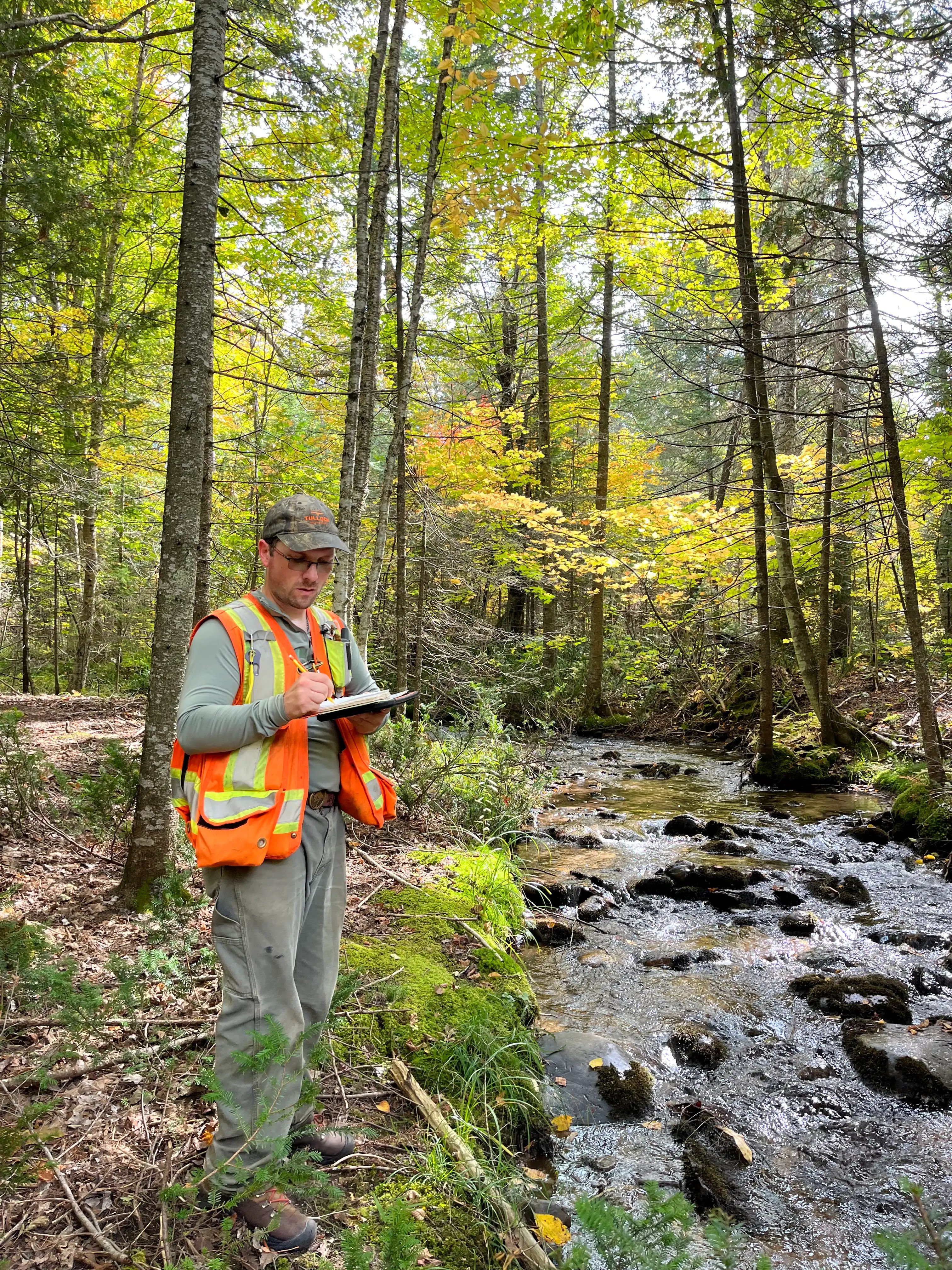 TULLOCH environmental field technician assessing a creek in a forested area.