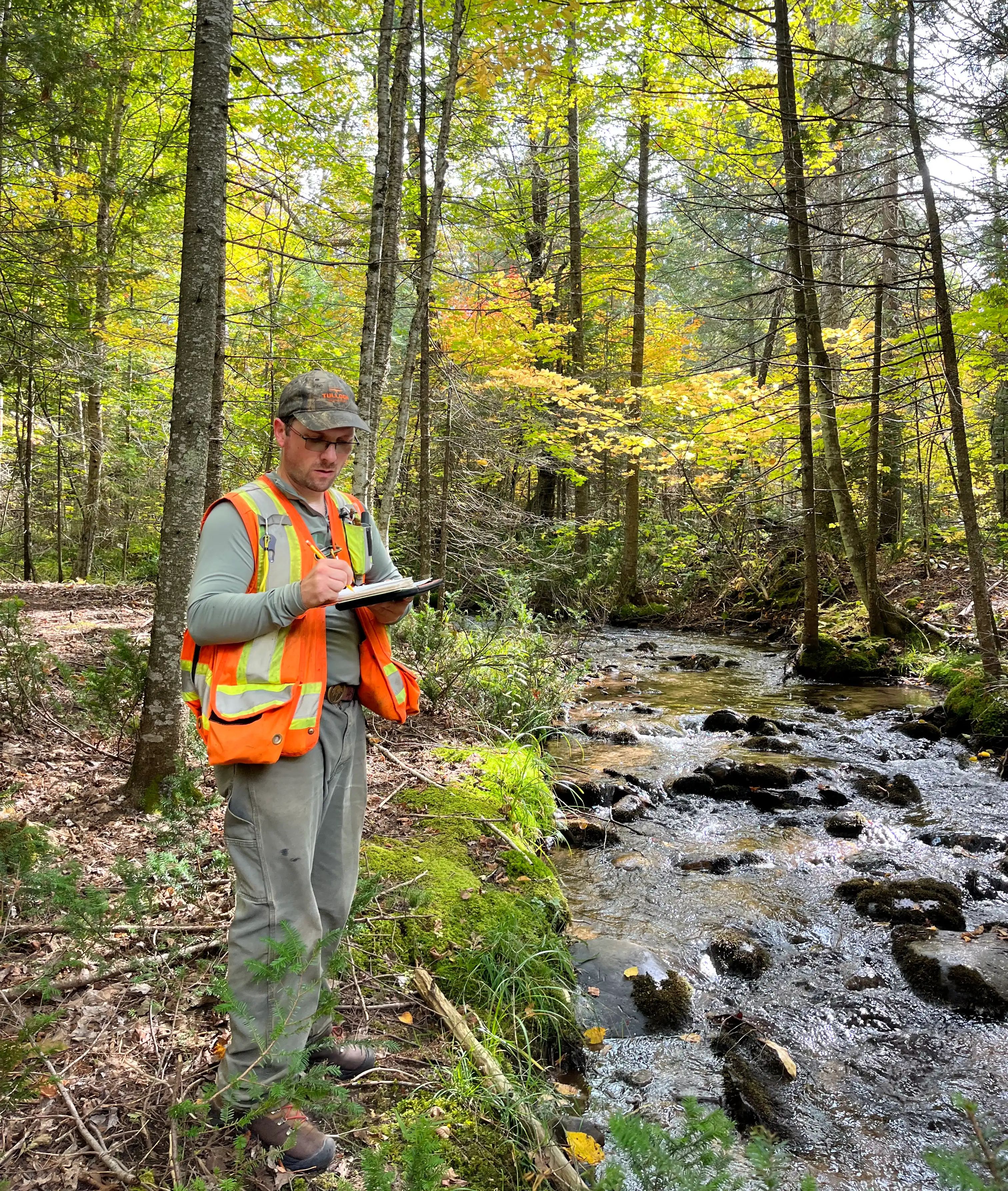 TULLOCH environmental field technician assessing a creek in a forested area.