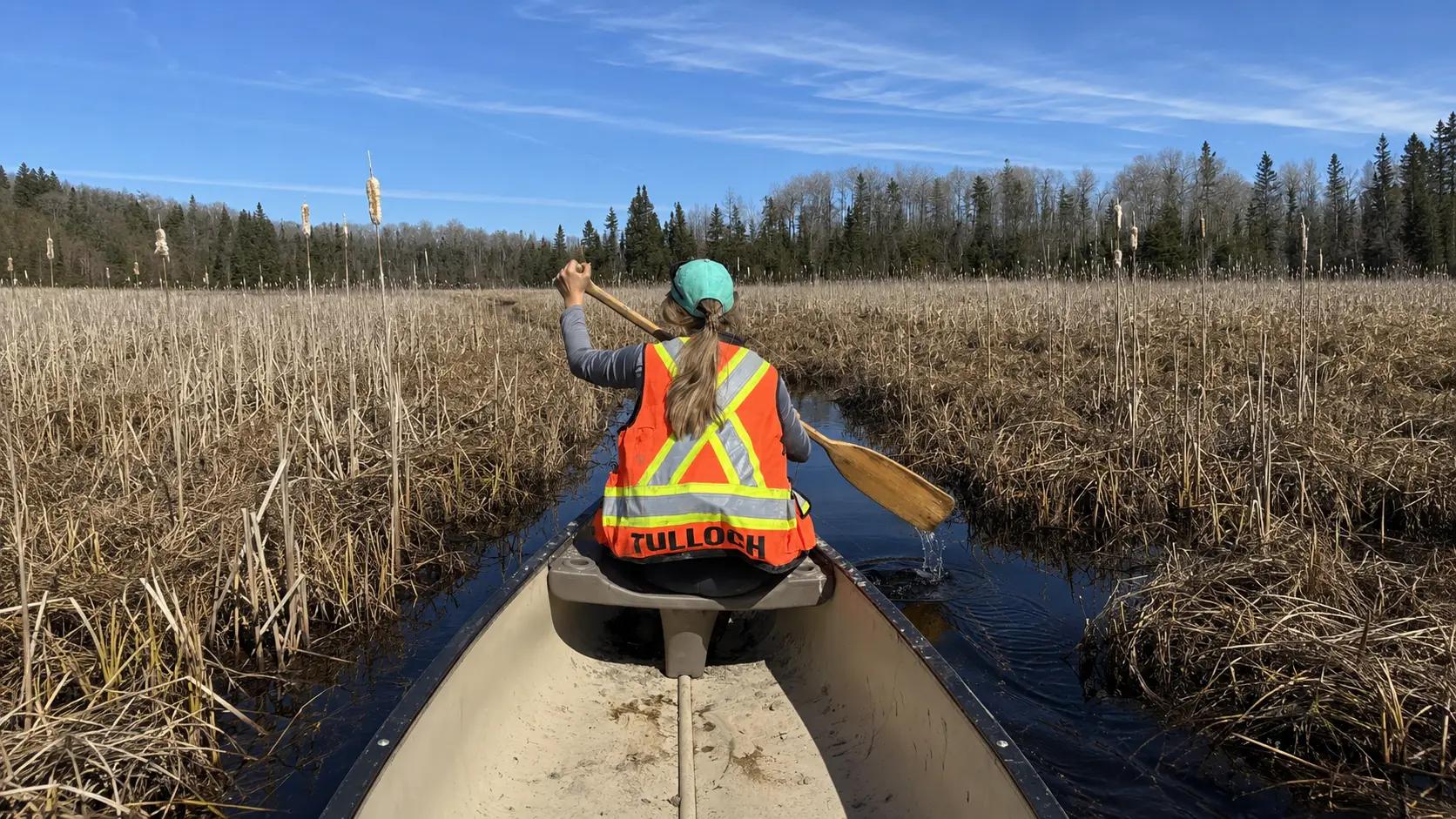 TULLOCH environmental field staff travelling by canoe through a wetland.